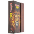 Load image into Gallery viewer, Personalized NIrV Adventure Bible for Kids Hardcover
