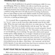 Load image into Gallery viewer, To Train Up A Child - Michael & Debi Pearl