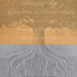 Load image into Gallery viewer, Design for Discipleship 1: Your Life In Christ
