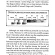 Load image into Gallery viewer, Desiring God's Own Heart: 1 & 2 Samuel, 1 Chronicles - Kay Arthur