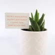 Load image into Gallery viewer, Aloe Nobilis 'Gold Tooth Aloe' Succulent Plant in White Glass Coral Pattern Plant Pot