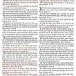Load image into Gallery viewer, Personalized KJV Thinline Reference Bible Portable Brown