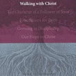 Load image into Gallery viewer, Design for Discipleship 3: Walking With Christ