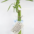 Load image into Gallery viewer, Bamboos in Scripture Verses Vase