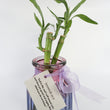 Load image into Gallery viewer, Bamboos in Scripture Verses Pink Glass Vase