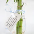 Load image into Gallery viewer, Bamboos in Scripture Verses Vase