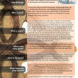 Load image into Gallery viewer, Christianity, Cults, & Religions Pamphlet