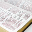 Load image into Gallery viewer, Personalized Santa Biblia Reina Valera Revisada RVR con Referencias y Concordancia
