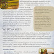 Load image into Gallery viewer, Comfort for Loss Pamphlet