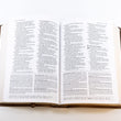 Load image into Gallery viewer, Personalized The Amplified Study Bible Leathersoft Brown Large Print