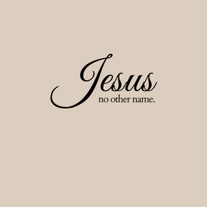 Jesus No Other Name Shirt