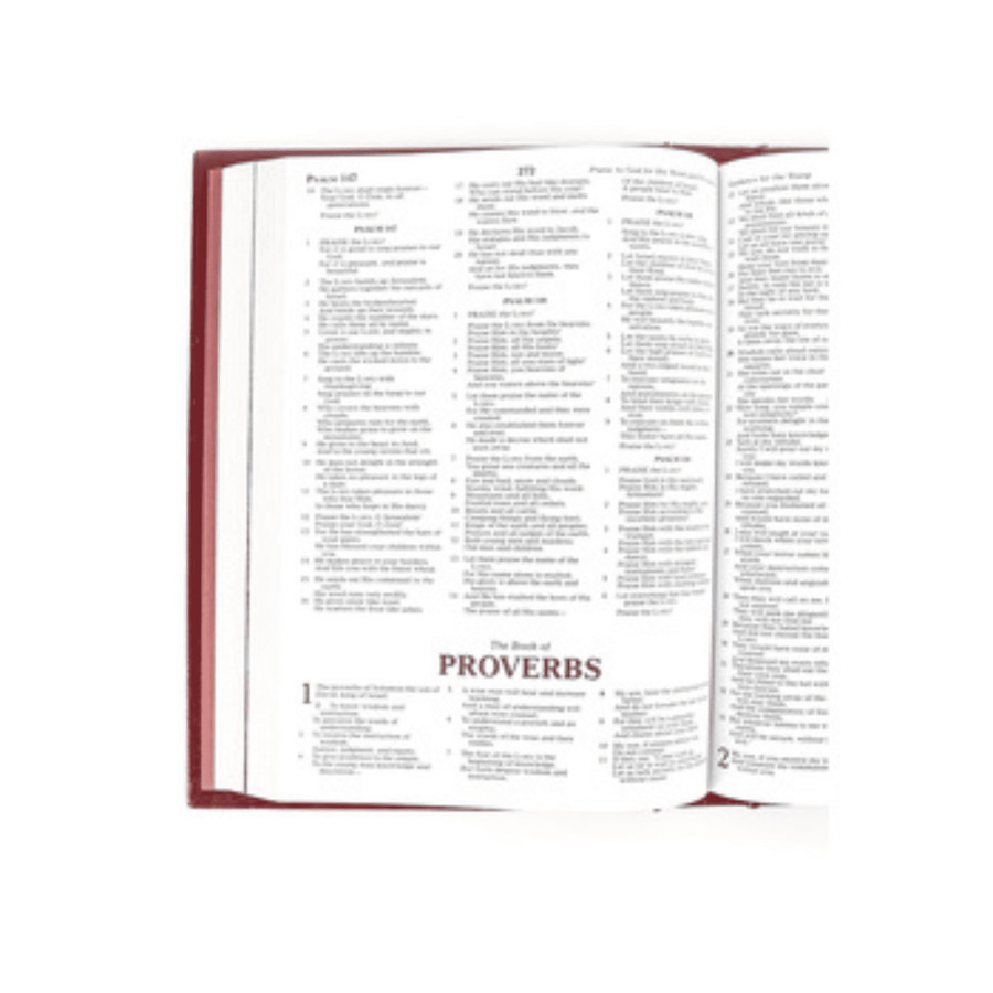 Personalized Custom Text Your Name NKJV Lighting The Way Home Family Bible Burgundy Padded Hardcover