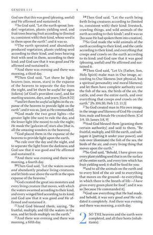 Amplified Battlefield of the Mind Bible - Joyce Meyers