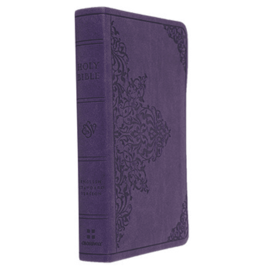 Personalized Custom Text Your Name ESV Value COMPACT Bible TruTone Lavender Filigree Design