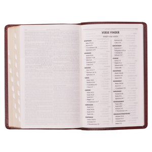 Personalized Custom Text Your Name KJV Holy Bible Standard Size Thumb Index Edition Burgundy King James Version