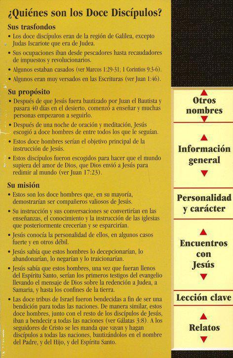 Los Doce Discípulos Folleto (The Twelve Disciples Pamphlet)