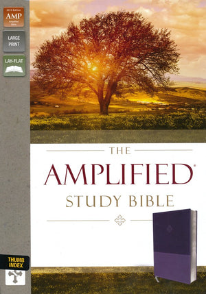 Personalized Bible with Custom Text The Amplified Study Bible Leathersoft Thumb Indexed Purple