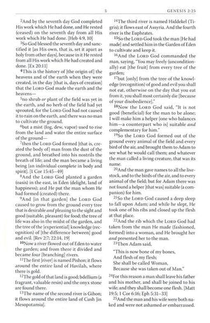 Amplified Battlefield of the Mind Bible - Joyce Meyers