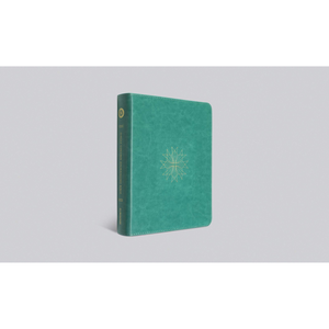 Personalized ESV Single Column Journaling Bible TruTone Teal Resplendent Cross Design