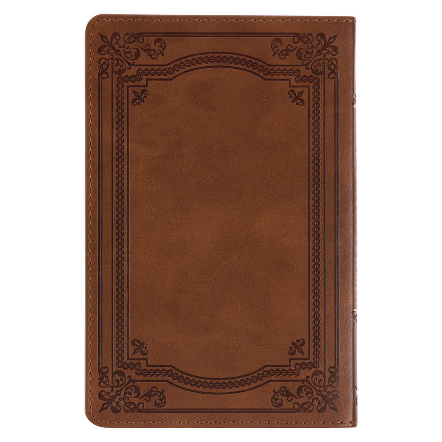 101 Devotions for Men 1 Timothy 6:11 Brown Faux Leather Devotional