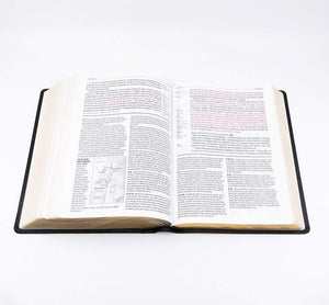 Personalized Biblia De Estudio Del Diario Vivir RVR60 Letra Grande (Spanish)