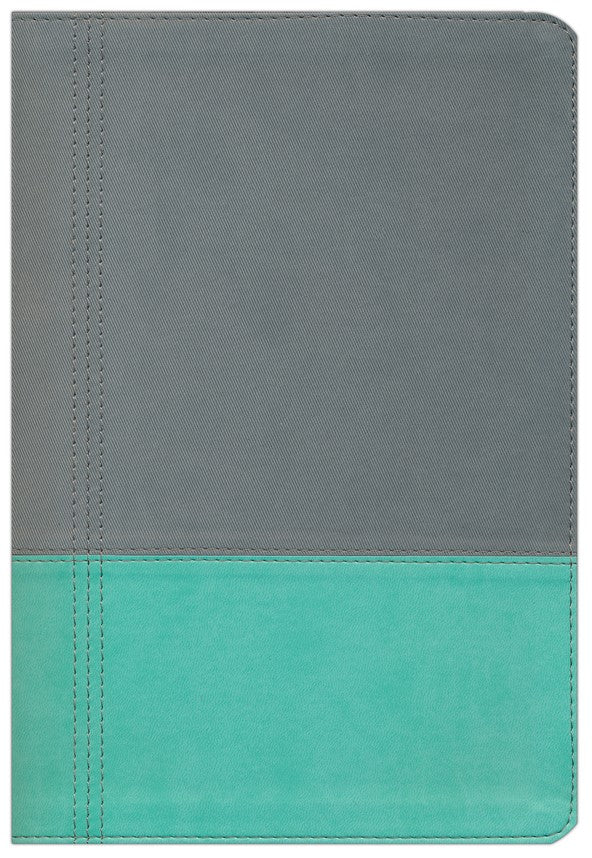 The Modern Life Study Bible LS Turquoise/Gray