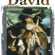 Load image into Gallery viewer, Life of David Pamphlet
