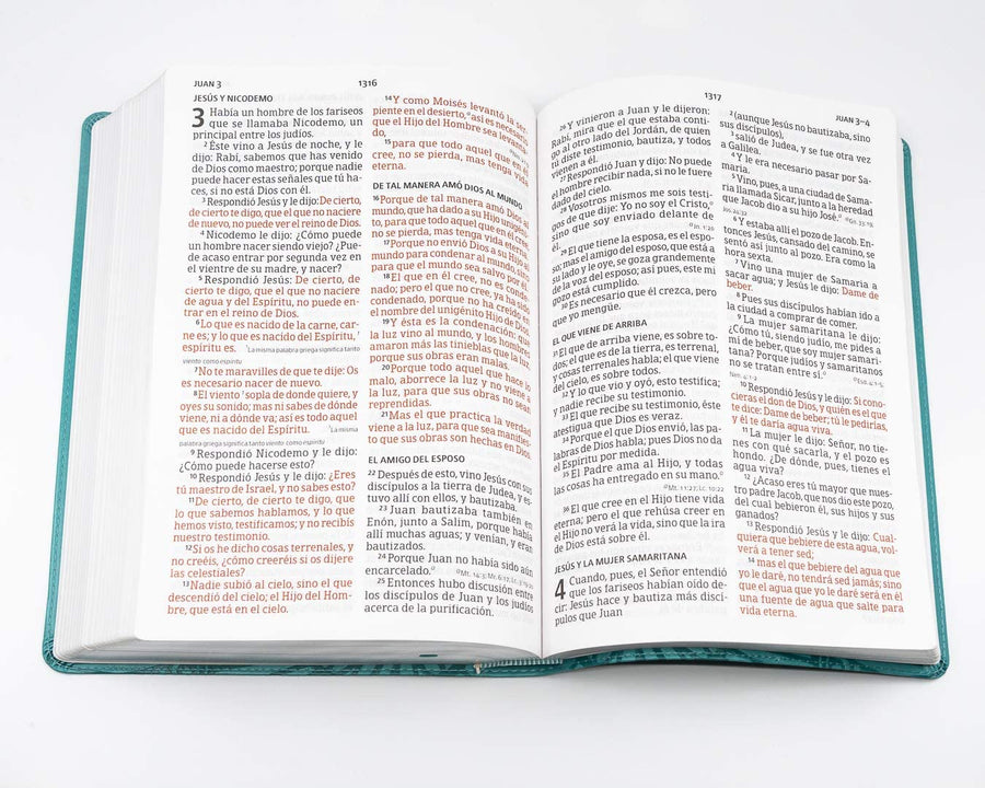 Personalized RVR 1960 Biblia Letra Súper Gigante Aqua símil piel (Spanish Edition)