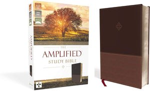 Personalized The Amplified Study Bible Leathersoft Brown Large Print