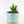 Load image into Gallery viewer, Aloe Nobilis &#39;Gold Tooth Aloe&#39; Succulent Plant in &quot;Jesus Loves Me&quot; Planter
