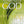 Load image into Gallery viewer, Attributes of God Pamphlet
