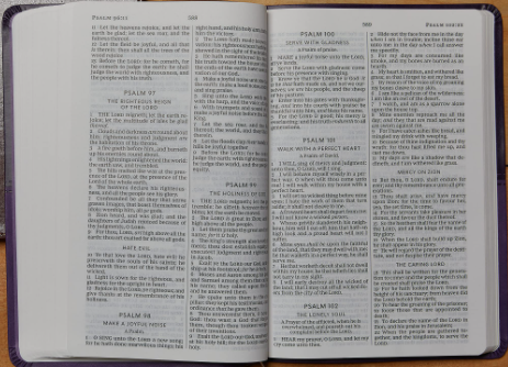 Personalized KJV Holy Bible Value Large Print Thinline Purple King James Version