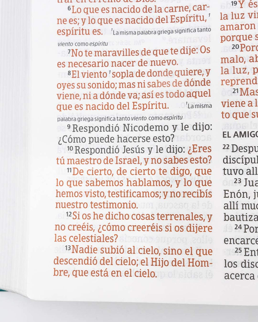 Personalized RVR 1960 Biblia Letra Súper Gigante Aqua símil piel (Spanish Edition)