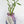 Load image into Gallery viewer, Bamboos in Scripture Verses Pink Glass Vase
