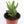Load image into Gallery viewer, Aloe Nobilis &#39;Gold Tooth Aloe&#39; Succulent Plant in &quot;Jesus Loves Me&quot; Planter

