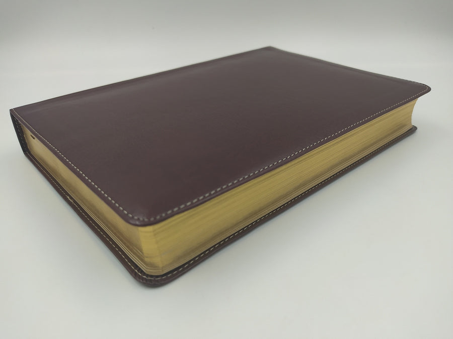 Personalized RVR 1960 Biblia de Estudio Arco Iris Chocolate símil piel Brown Leathertouch (Spanish Edition)