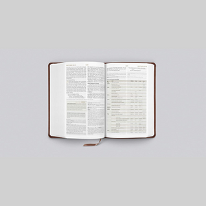 Personalized ESV Student Study Bible TruTone Chestnut