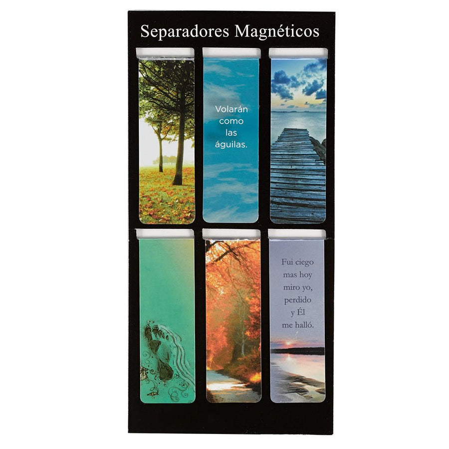 Separadores Magnéticos Clásicos (Pack of 6)