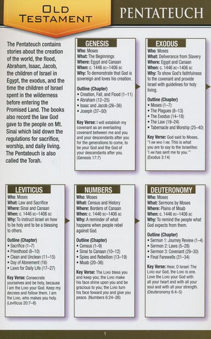 Bible Overview Pamphlet