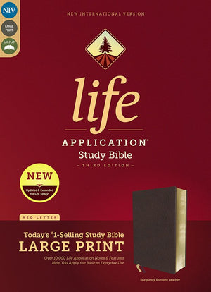 Personalized NIV Life Application Study Bible Third Edition Large Print